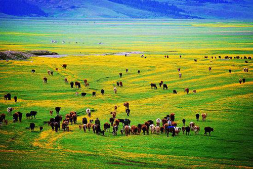 新疆全面提升旅游服务质量 撤销11家景区等级